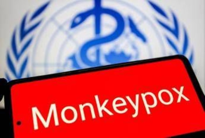 Vaiolo delle scimmie, Oms: "Mpox continua a circolare, a novembre 2.150 casi e 5 morti"