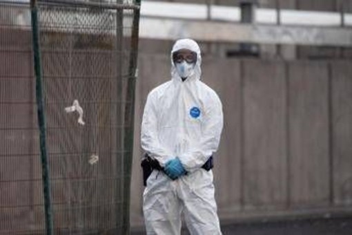 Hantavirus, l'esperta: "Non si rischia nuova pandemia, più letale ma diverso da Covid" Hantavirus, l'esperta: "Non si rischia nuova pandemia, più letale ma diverso da Covid"