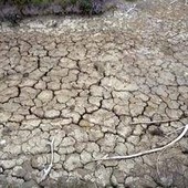 Clima, allarme Onu: "Terra in zona pericolo. El Niño sta assumendo proporzioni enormi" Clima, allarme Onu: "Terra in zona pericolo. El Niño sta assumendo proporzioni enormi"