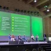 'Rigenerare per crescere', Bayer accelera sulla viticoltura rigenerativa