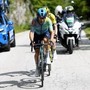 Giro d'Italia, Ulissi in maglia rosa. A Plapp l'ottava tappa