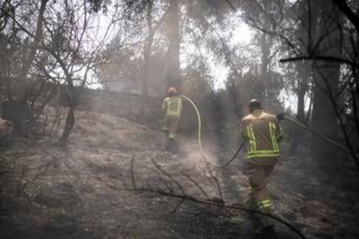 Israele ancora in fiamme, Netanyahu: &quot;18 arresti per sospetto incendio doloso&quot;