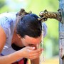 Caldo estremo sull'Italia, oggi tre città da bollino rosso. Venerdì allerta massima Caldo estremo sull'Italia, oggi tre città da bollino rosso. Venerdì allerta massima
