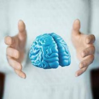 Imparare ad essere altruisti, così il cervello costruisce i comportamenti sociali Imparare ad essere altruisti, così il cervello costruisce i comportamenti sociali