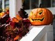Zucca e semi di zucca: il lato sorprendente (e sano) di Halloween Zucca e semi di zucca: il lato sorprendente (e sano) di Halloween