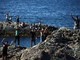 Migranti, Ue: "Controlli frontiera Italia-Spagna temporanei". Nuovo attacco di Madrid a Roma