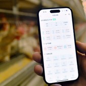 La Cina crea un sistema di registrazione per i diritti di proprietà dei dati
