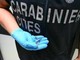 Palermo, fermento all'aeroporto: trovato piccolo serpente sul volo da Lampedusa