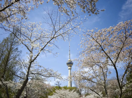 Pechino, quasi eliminate le giornate con livello “grave” di inquinamento Pechino, quasi eliminate le giornate con livello “grave” di inquinamento