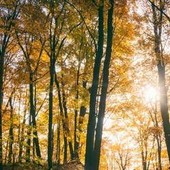 Il maltempo molla la presa, torna l'anticiclone e salgono le temperature: la tendenza dei prossimi giorni
