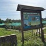 Torino, presunto abuso al parco dell’Arrivore: FdI chiede chiarimenti al Comune