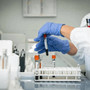 Hantavirus, 4 persone monitorate in Italia: "Non hanno sintomi"