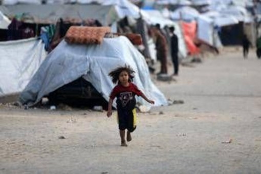 Gaza, appello dell'ambasciatrice: "L'Italia riconosca la Palestina e il Papa entri nell'inferno della Striscia"