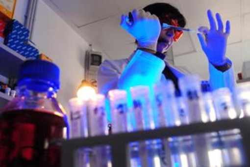 Storia genetica di un superbatterio killer, così l'Acinetobacter baumannii è diventato invulnerabile Storia genetica di un superbatterio killer, così l'Acinetobacter baumannii è diventato invulnerabile