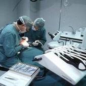 Esperti: "Benessere orale determinante per salute sistemica e pubblica"