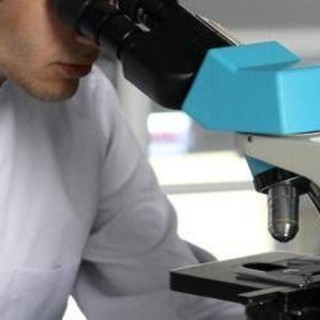 Romania, scoperto un batterio di 5mila anni fa resistente a 10 antibiotici moderni Romania, scoperto un batterio di 5mila anni fa resistente a 10 antibiotici moderni