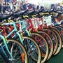 Mobilità, meno emissioni e più alberi con 'Magis bike Challenge' Mobilità, meno emissioni e più alberi con 'Magis bike Challenge'