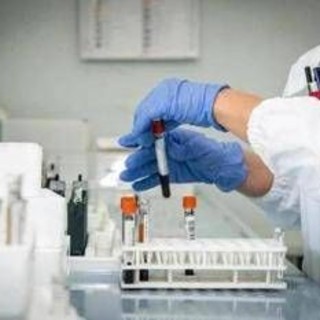 Tumori, Cremolini (UniPi): "Dostarlimab efficace in 70% pazienti con raro tipo cancro al retto" Tumori, Cremolini (UniPi): "Dostarlimab efficace in 70% pazienti con raro tipo cancro al retto"