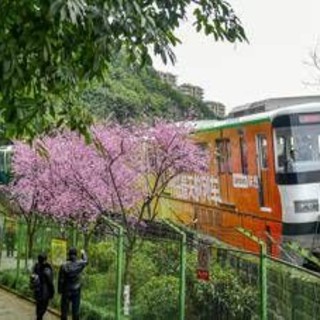 Tragedia in Cina: operai al lavoro travolti da un treno, 11 morti Tragedia in Cina: operai al lavoro travolti da un treno, 11 morti