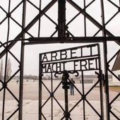 "Olocausto ingigantito" per il 14% degli italiani, il sondaggio "Olocausto ingigantito" per il 14% degli italiani, il sondaggio