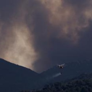 Incendi in Francia e Spagna, corsa contro il tempo per domare fiamme prima di nuova ondata di caldo