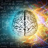 Milano, BrainSpace house per scoprire legame tra benessere di mente e cervello