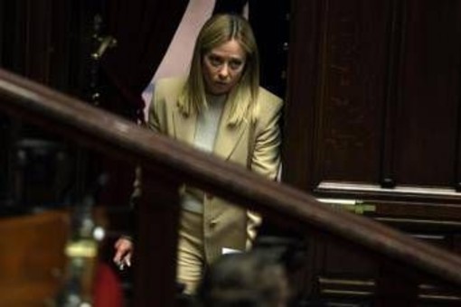 Entrate dimezzate per Meloni nel 2025, ecco la dichiarazione dei redditi