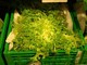 Usa, primi due morti per l'epidemia di ciclosporiasi: oltre 18mila casi