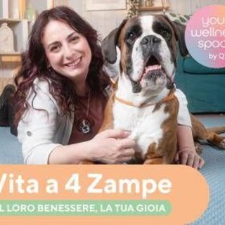 Qvc Italia, debutta nuova categoria pet care con uno show su amici a quattro zampe Qvc Italia, debutta nuova categoria pet care con uno show su amici a quattro zampe