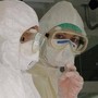 Virus Shamonda, Lopalco: "È favorito da crisi climatica, svegliamoci" Virus Shamonda, Lopalco: "È favorito da crisi climatica, svegliamoci"