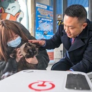 Cina, gli animali domestici adesso possono viaggiare sui treni ad alta velocità