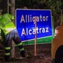 Usa, in Italia il 5 agosto cittadino italiano detenuto ad Alligator Alcatraz