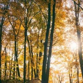 Il maltempo molla la presa, torna l'anticiclone e salgono le temperature: la tendenza dei prossimi giorni Il maltempo molla la presa, torna l'anticiclone e salgono le temperature: la tendenza dei prossimi giorni