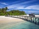 Tragedia alle Maldive, morti 5 italiani: chi sono le vittime