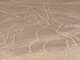 Perù, aereo con italiani a bordo sorvolava Linee di Nazca: cosa sono Perù, aereo con italiani a bordo sorvolava Linee di Nazca: cosa sono
