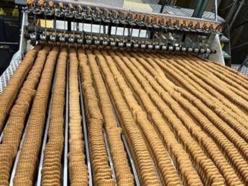 Cth Invest group, fatturato esercizio 2024-25 +9,9% Cth Invest group, fatturato esercizio 2024-25 +9,9%