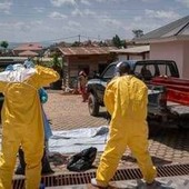 Ebola, identikit del virus Bundibugyo: storia di un nome che fa discutere Ebola, identikit del virus Bundibugyo: storia di un nome che fa discutere