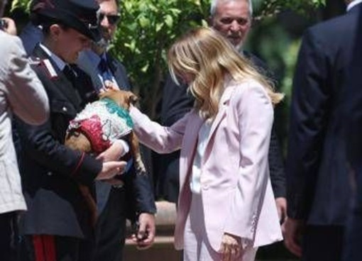 Italia-Corea, Meloni si fa foto con 'Briciola': cagnolina mascotte Carabinieri 'star' a Villa Pamphlij