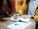 L'università a 14 anni, la maturità a 12: due fratelli 'prodigio' in Inghilterra