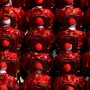 Cardinali “Proseguire e custodire il magistero di Papa Francesco”