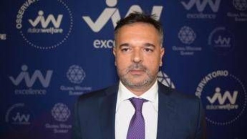 Castrignanò (Osserv. Italian Welfare): "Serve patto nazionale per calo welfare gap" Castrignanò (Osserv. Italian Welfare): "Serve patto nazionale per calo welfare gap"