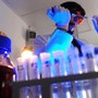 Storia genetica di un superbatterio killer, così l'Acinetobacter baumannii è diventato invulnerabile