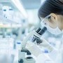 Resistenza a farmaci in cancro rene e fegato, studio apre nuove vie