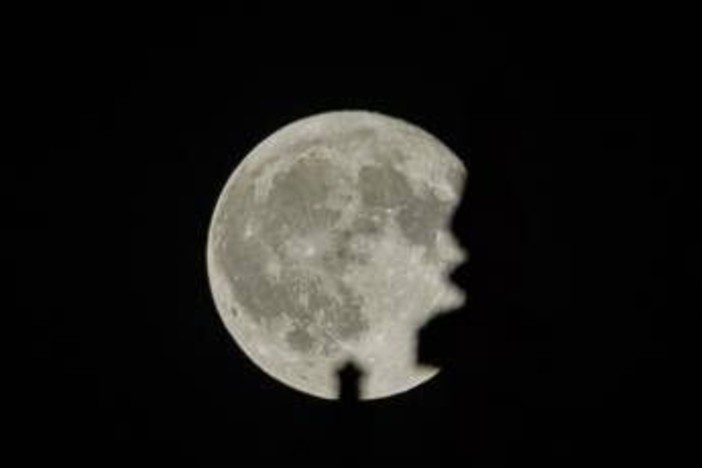 La Superluna, tre sciami di meteoriti e la parata dei pianeti: tutti gli eventi celesti di novembre 2026 La Superluna, tre sciami di meteoriti e la parata dei pianeti: tutti gli eventi celesti di novembre 2026