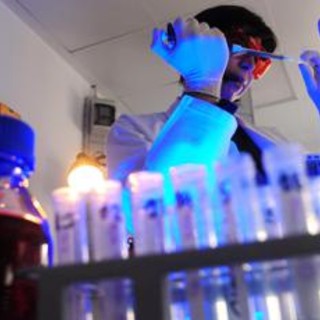 Storia genetica di un superbatterio killer, così l'Acinetobacter baumannii è diventato invulnerabile