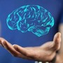 La mente arriva al top a 55 anni, non è solo questione di memoria: lo studio