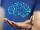 Il cervello cresce e invecchia, i 4 compleanni importanti per la mente: lo studio