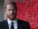 Harry torna a casa con la famiglia, incontrerà William? L'ipotesi e il desiderio