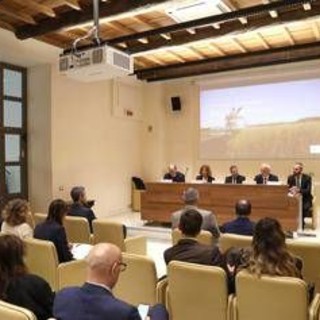 Made in Italy, Cipollina (Mondelēz Italia): "Sostenibilità pilastro strategico per crescita e filiere agricole" Made in Italy, Cipollina (Mondelēz Italia): "Sostenibilità pilastro strategico per crescita e filiere agricole"