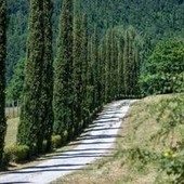 Sostenibilità, tenuta Acqua Panna habitat ideale di 121 specie di vertebrati e piante Sostenibilità, tenuta Acqua Panna habitat ideale di 121 specie di vertebrati e piante